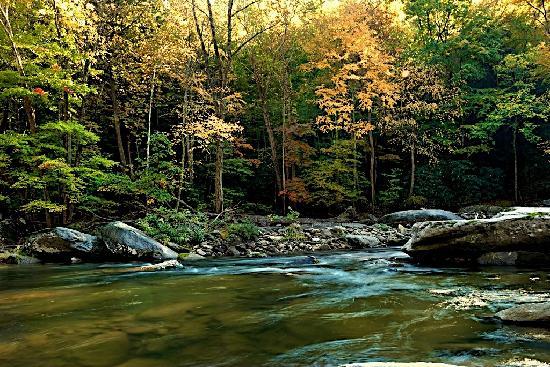 rocky-broad-river